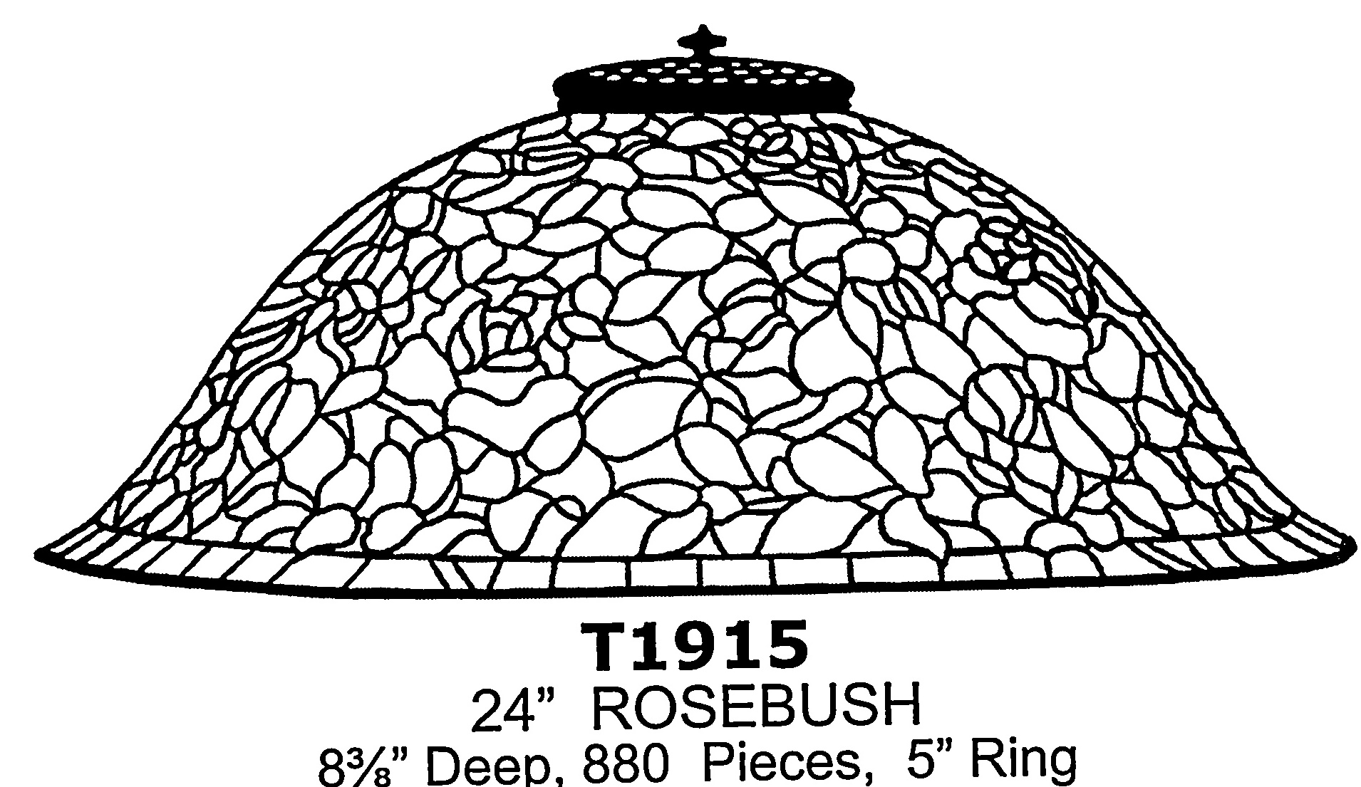 24" Rosebush