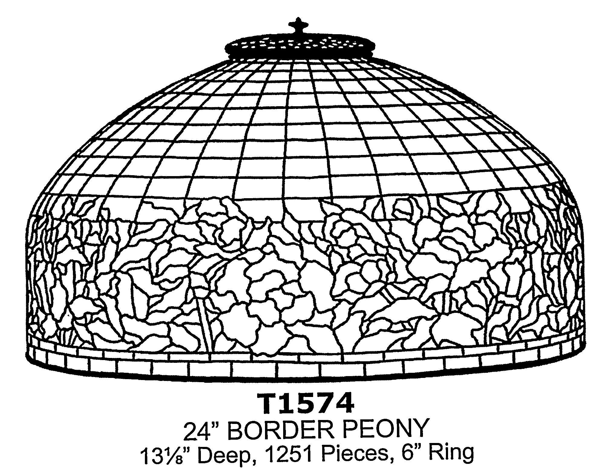 24" Border Peony